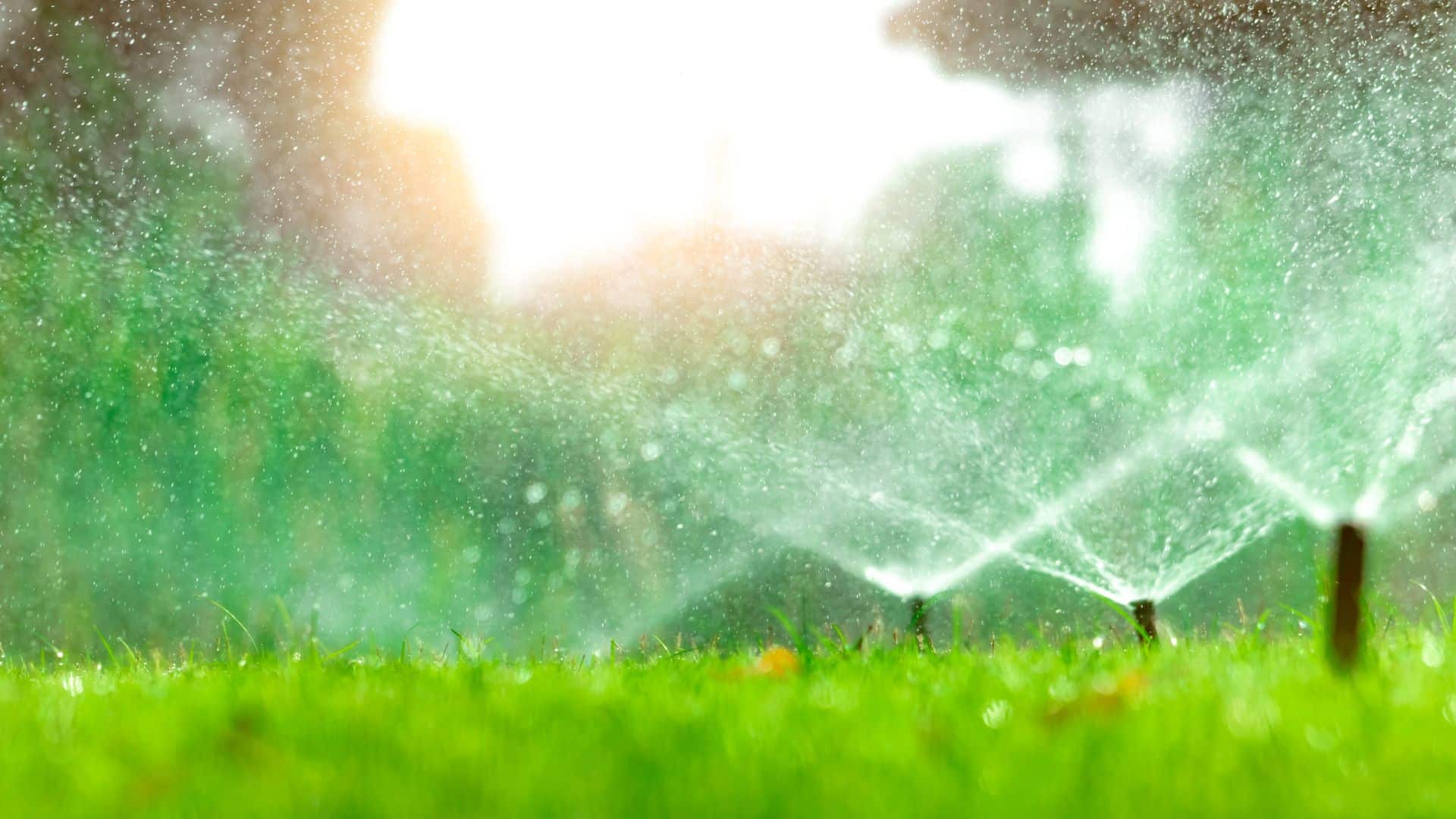 The Importance of Landscaping and Irrigation Services