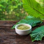 Kratom : A Comprehensive Guide to This Natural Herb