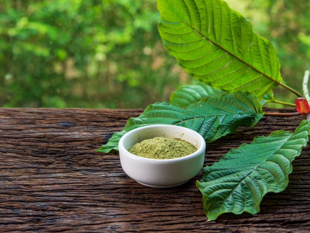 Kratom : A Comprehensive Guide to This Natural Herb